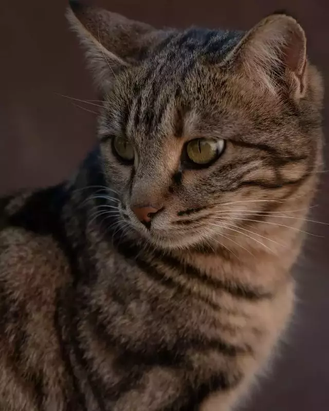 نمونه کار عکاسی الهه زارع