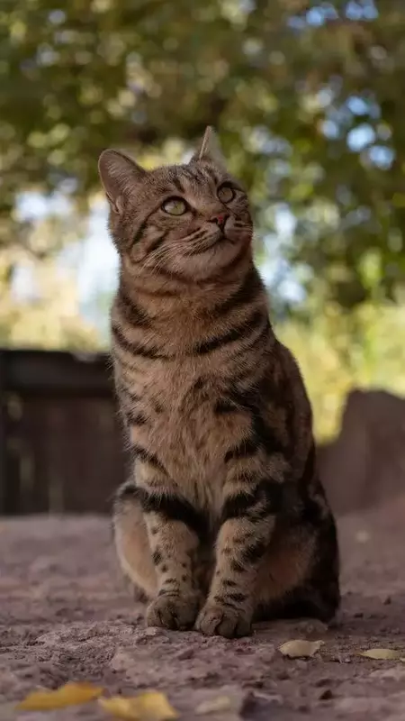 نمونه کار عکاسی الهه زارع