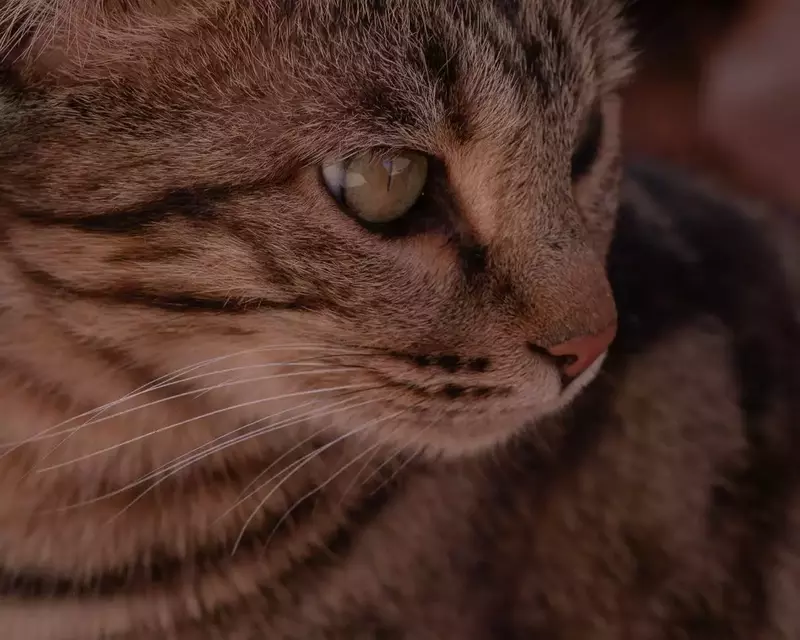 نمونه کار عکاسی الهه زارع