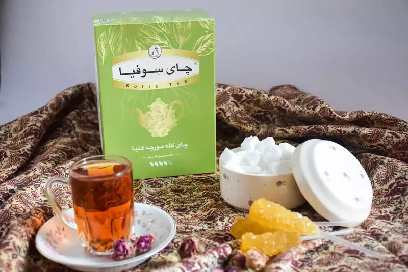 نمونه کار عکاسی الهه جوادی