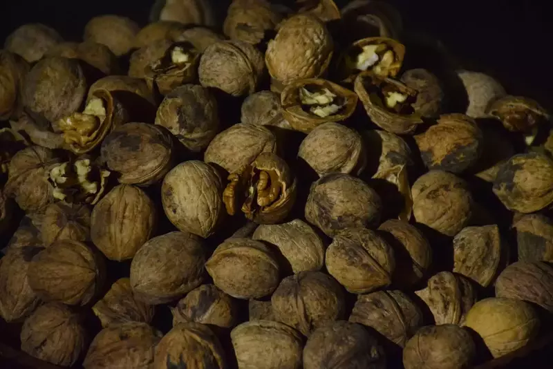 نمونه کار عکاسی الهه جوادی