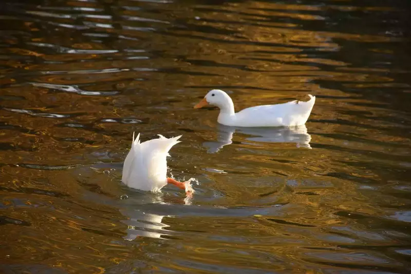 نمونه کار عکاسی الهه جوادی