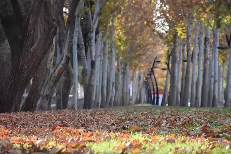 نمونه کار عکاسی الهه جوادی