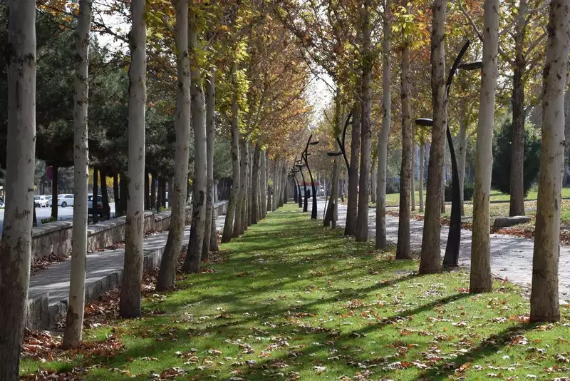 نمونه کار عکاسی الهه جوادی