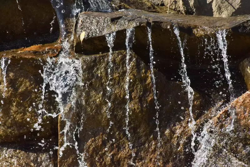 نمونه کار عکاسی الهه جوادی