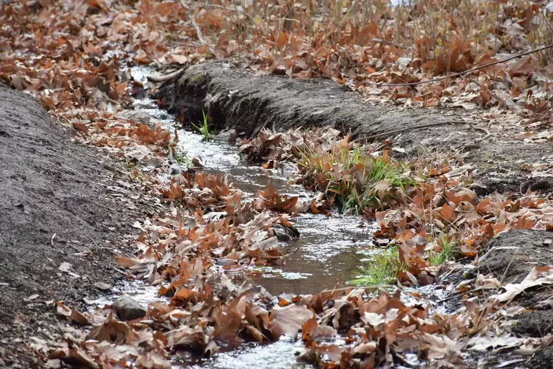 نمونه کار عکاسی الهه جوادی