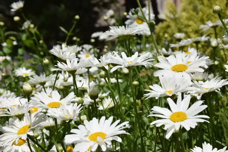 نمونه کار عکاسی الهه جوادی