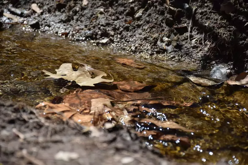 نمونه کار عکاسی الهه جوادی