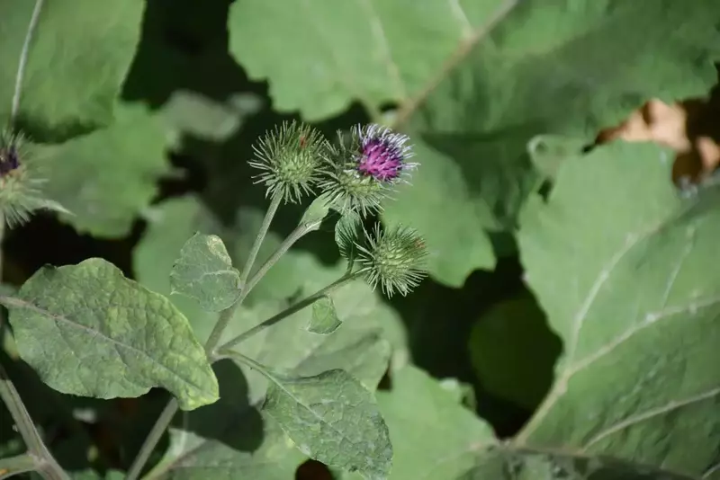 نمونه کار عکاسی الهه جوادی