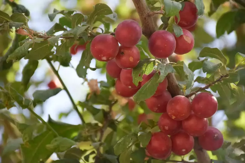 نمونه کار عکاسی الهه جوادی