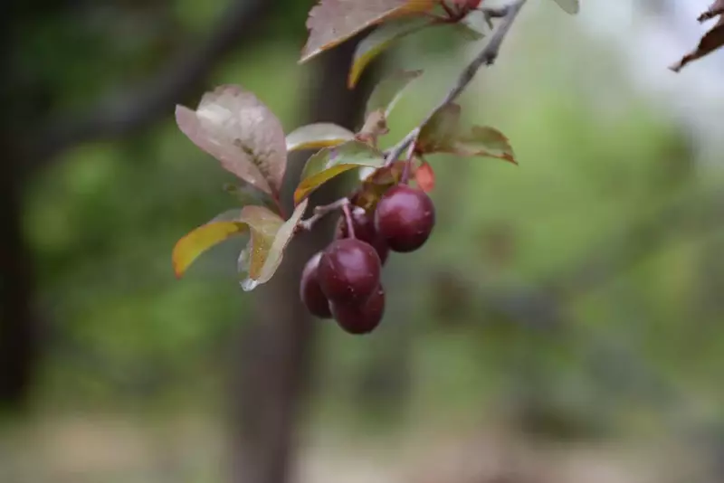 نمونه کار عکاسی الهه جوادی