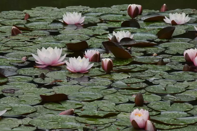 نمونه کار عکاسی الهه جوادی