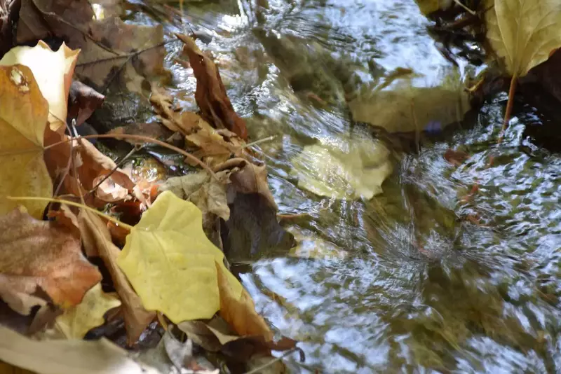 نمونه کار عکاسی مناظر توسط جوادی که در تاریخ 1404-08-29 ** پنج‌شنبه  **  ساعت 06:46PM بارگذاری شده است.