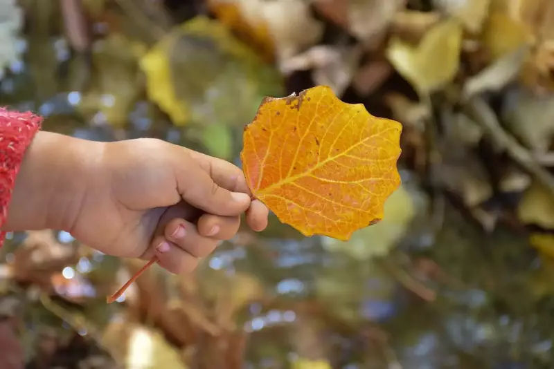 نمونه کار عکاسی مناظر توسط جوادی که در تاریخ 1404-08-29 ** پنج‌شنبه  **  ساعت 06:46PM بارگذاری شده است.