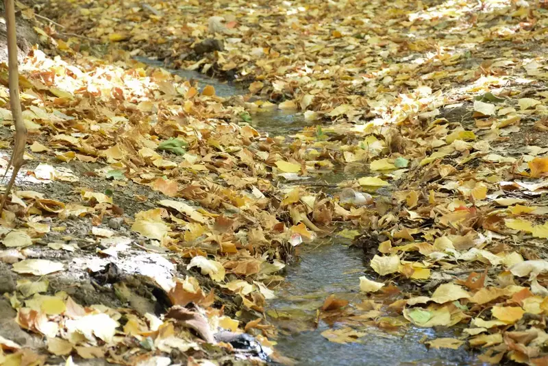 نمونه کار عکاسی مناظر توسط جوادی که در تاریخ 1404-08-29 ** پنج‌شنبه  **  ساعت 06:46PM بارگذاری شده است.
