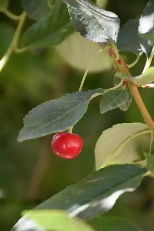 نمونه کار عکاسی مناظر توسط جوادی که در تاریخ 1404-08-29 ** پنج‌شنبه  **  ساعت 06:46PM بارگذاری شده است.