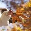 نمونه کار عکاسی چهره - پروفایل توسط واعظی پور، ثبت شده در 2025-11-23