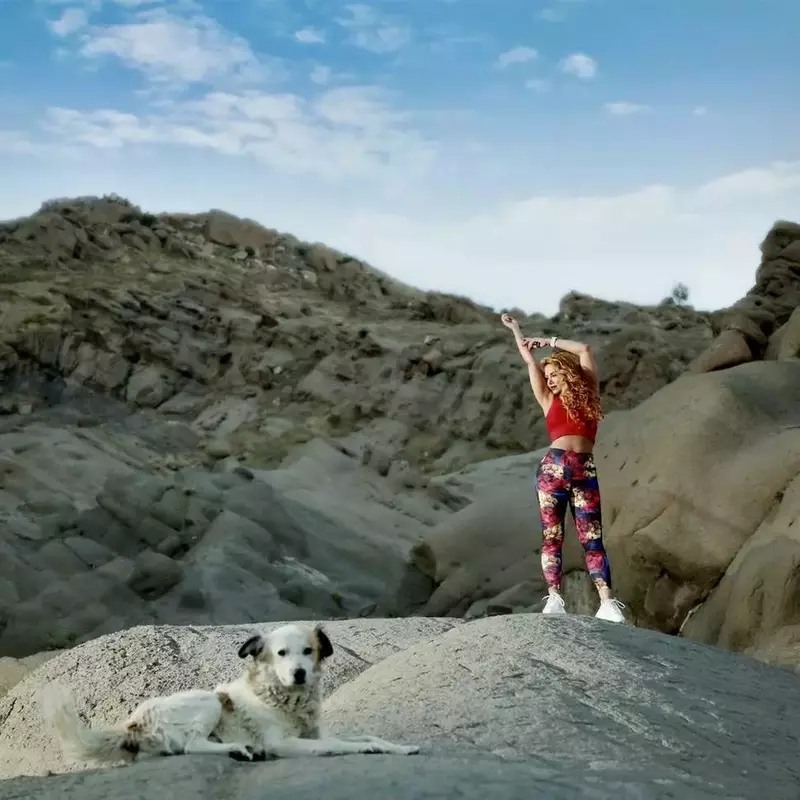 نمونه کار عکاسی ورزشی توسط ایرانی که در تاریخ 1404-09-07 ** جمعه  **  ساعت 08:06PM بارگذاری شده است.