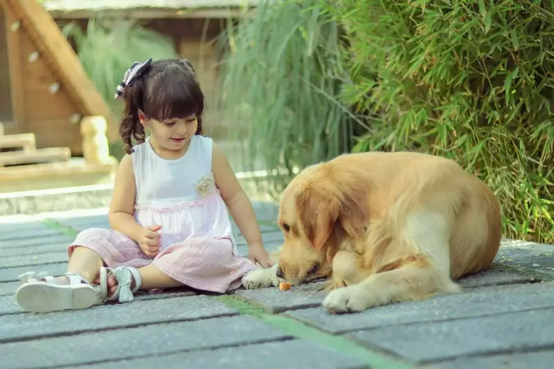 عکاسی کودک از هدیه قاسمی