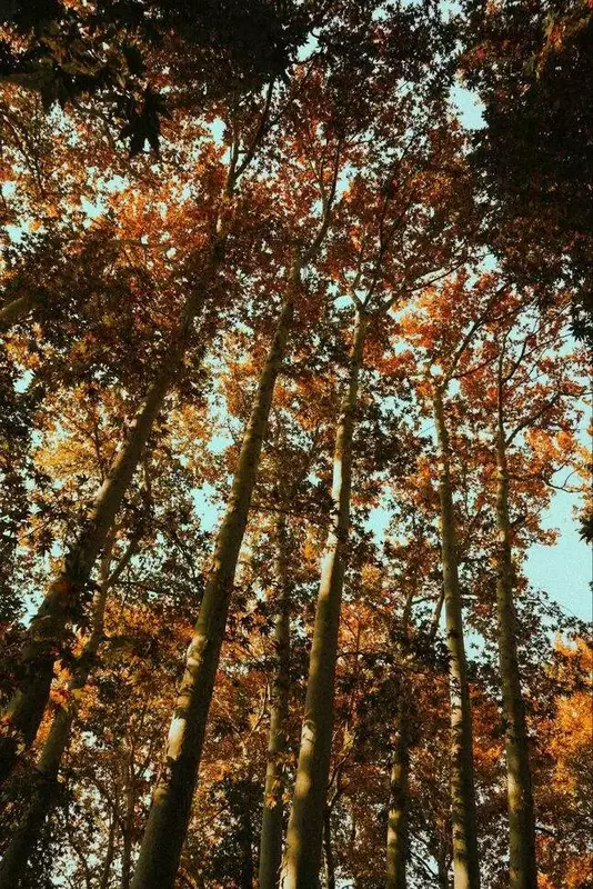 نمونه کار عکاسی غیره توسط پریدار که در تاریخ 1404-09-16 ** یک‌شنبه  **  ساعت 04:28PM بارگذاری شده است.