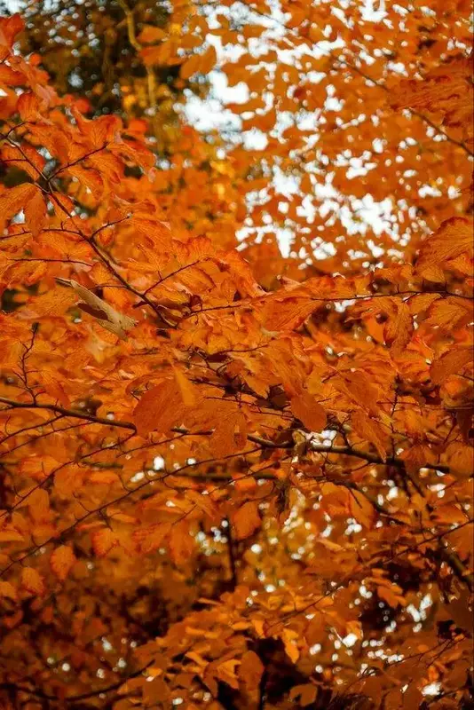 نمونه کار عکاسی غیره توسط پریدار که در تاریخ 1404-09-16 ** یک‌شنبه  **  ساعت 04:28PM بارگذاری شده است.