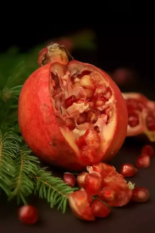 عکاسی تبلیغاتی چیدمان از مائده  نوروزی 
