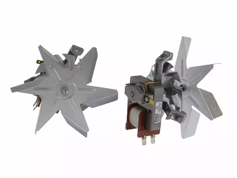 نمونه کار عکاسی سارا شفیعیه