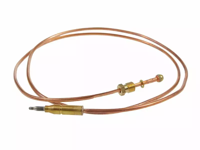 نمونه کار عکاسی سارا شفیعیه