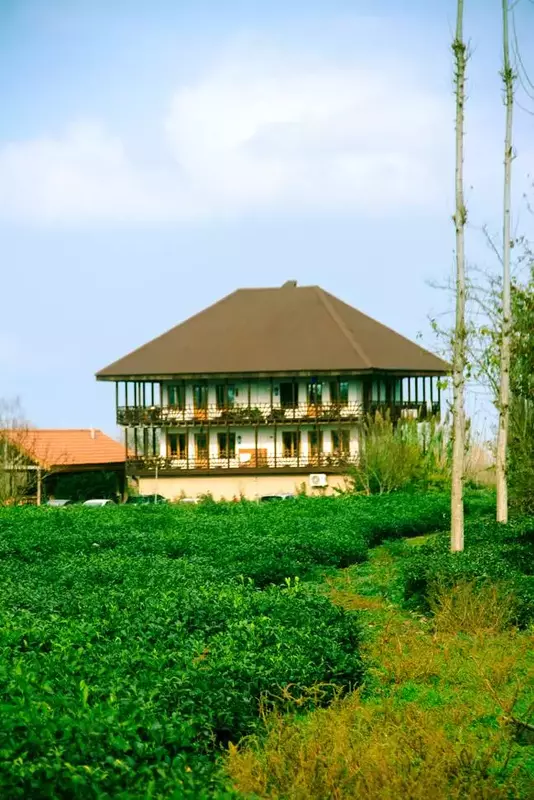 عکاسی مناظر از میعاد خدیوی