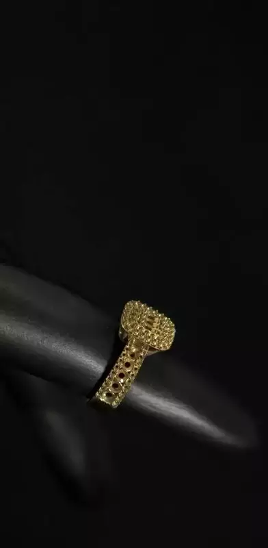 عکاسی طلا و جواهر از سید رضا امیری نائینی