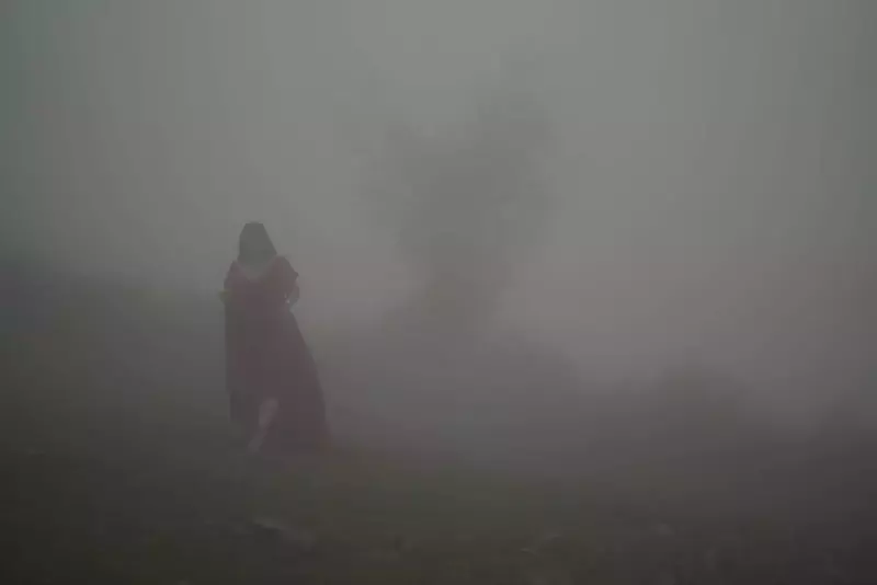 عکاسی عقد - بله برون - فرمالیته عروسی از امیرحسین صیادی