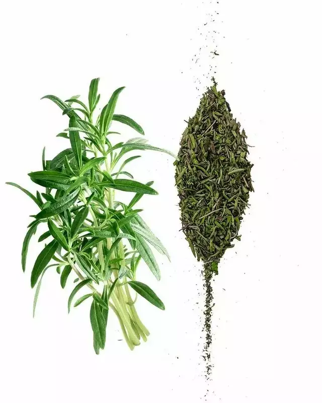 نمونه کار از زهرا  بافنده 