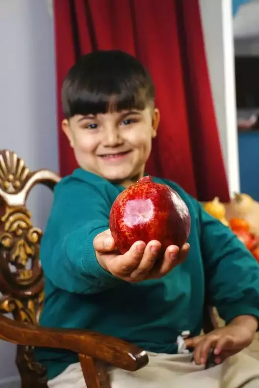 نمونه کار از عطیه خوشرفتار