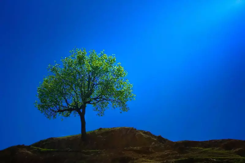 عکاسی مناظر از نوژان رجبی
