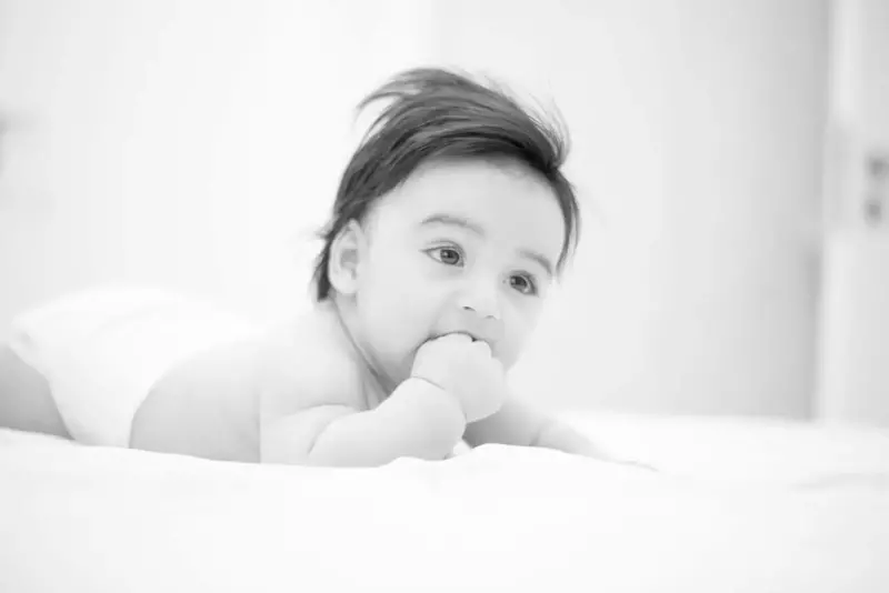 نمونه کار از آتنا عیوضی
