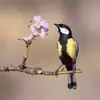 نمونه کار عکاسی غیره توسط ملکی، ثبت شده در 2026-04-08