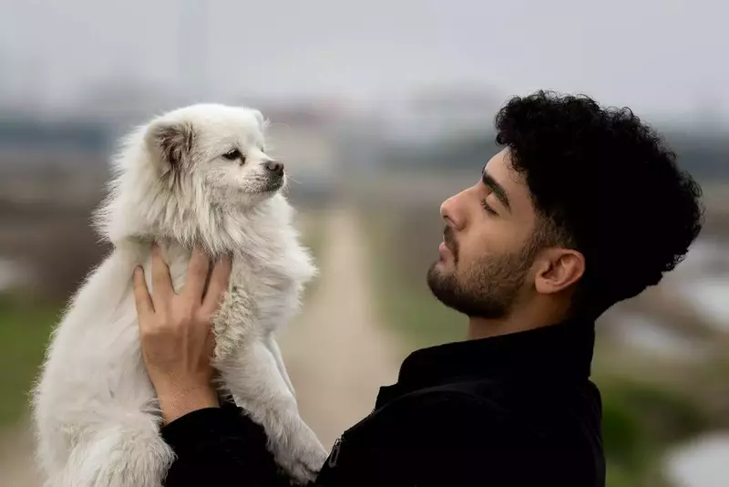 عکاسی حیوانات خانگی از امین ملکی