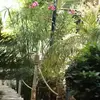 نمونه کار عکاسی معماری و دکوراسیون توسط باقری، ثبت شده در 2026-04-09