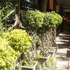 نمونه کار عکاسی معماری و دکوراسیون توسط باقری، ثبت شده در 2026-04-09