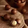 نمونه کار عکاسی تبلیغاتی چیدمان توسط خره غاني، ثبت شده در 2026-04-13