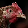 نمونه کار عکاسی مناظر توسط خره غاني، ثبت شده در 2026-04-13
