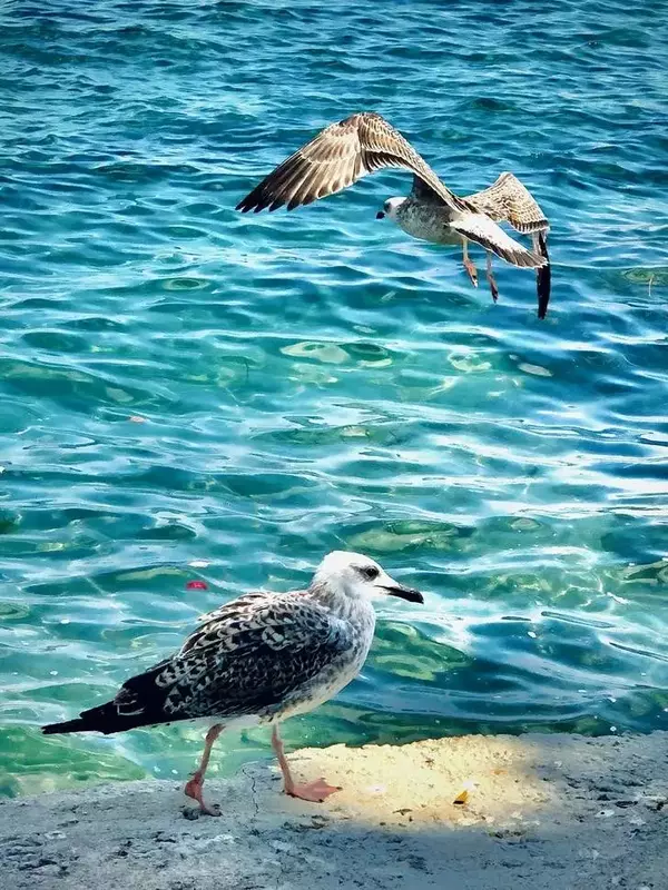 عکاسی مناظر از نيما خره غاني
