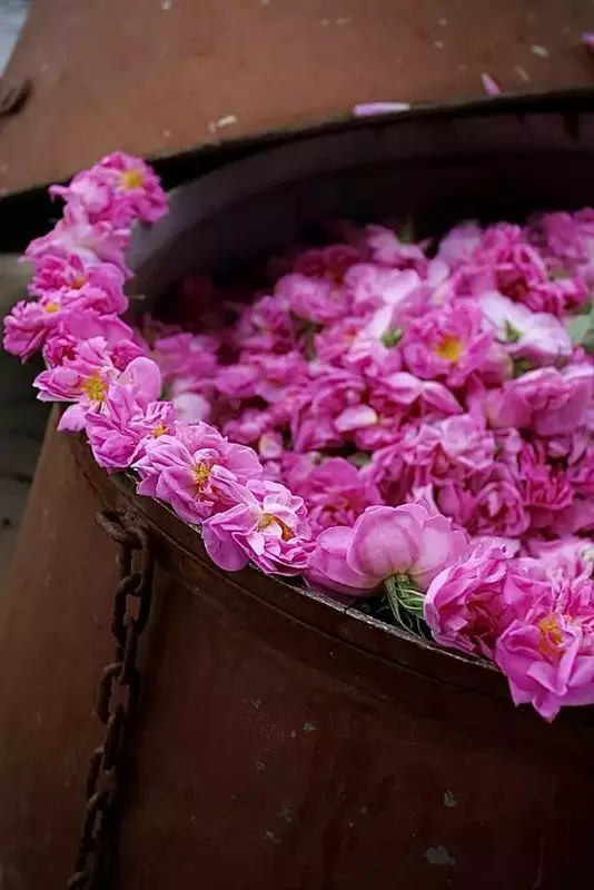 عکاسی غیره از نيما خره غاني