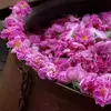 نمونه کار عکاسی غیره توسط خره غاني، ثبت شده در 2026-04-13