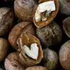 نمونه کار عکاسی تبلیغاتی غذا توسط توحیدی مقدم، ثبت شده در 2026-04-21