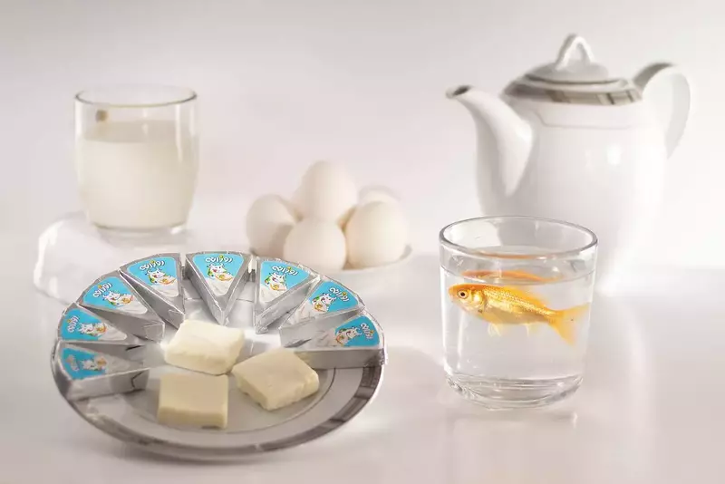 آفیش همکاران آفیش دستیار از امین ملکی