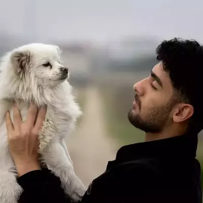 نمونه کار آفیش همکاران آفیش دستیار توسط ملکی 