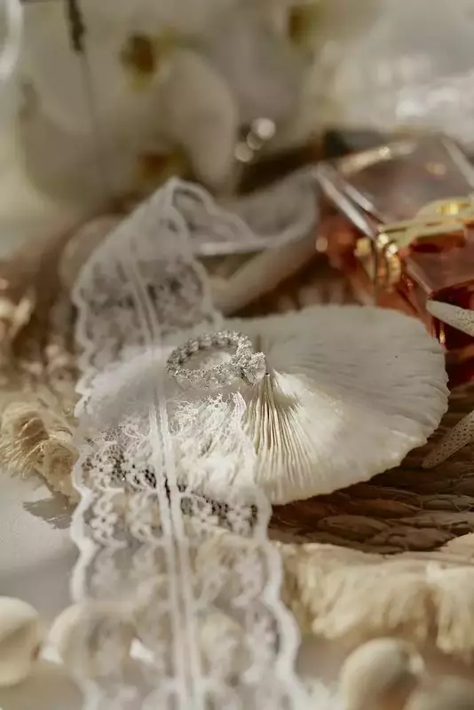 نمونه کار از شقایق اقبال زاده