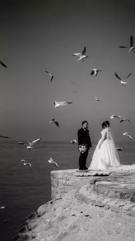 نمونه کار از بهزاد ایازلو