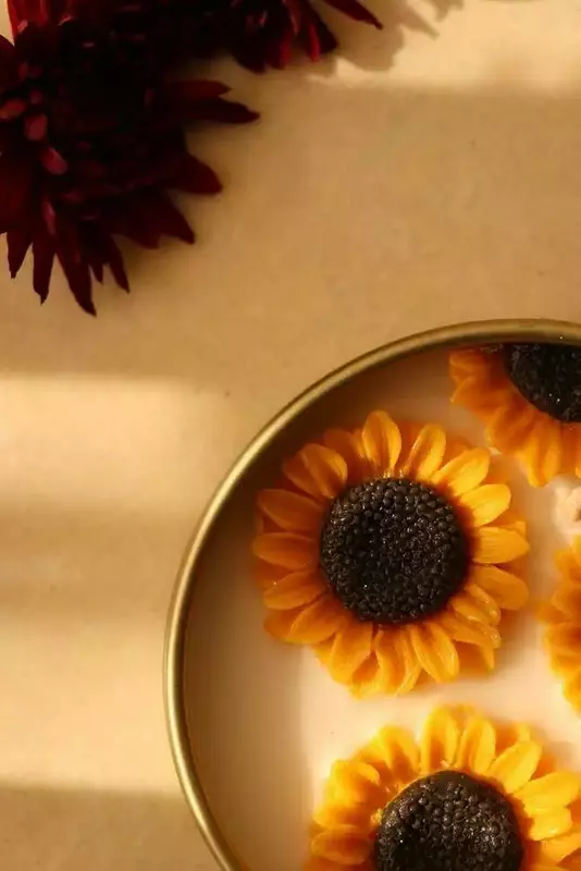 نمونه کار از زهرا ماهوتچی
